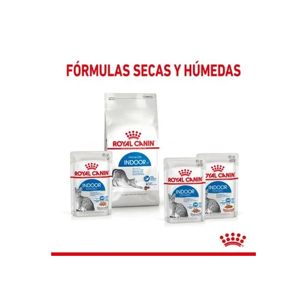 Navega por las últimas olas de moda con nuestra Royal Canin Indoor Sterilised En Salsa.