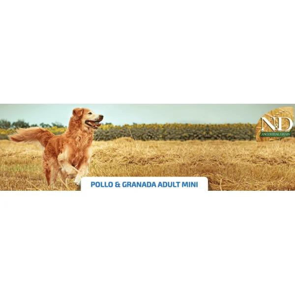 ND Ancestral Pollo Granada perros mini adultos