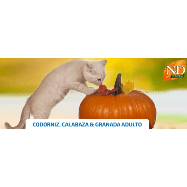 ND Pumpkin Cat CODORNIZ, Calabaza y granada gatos