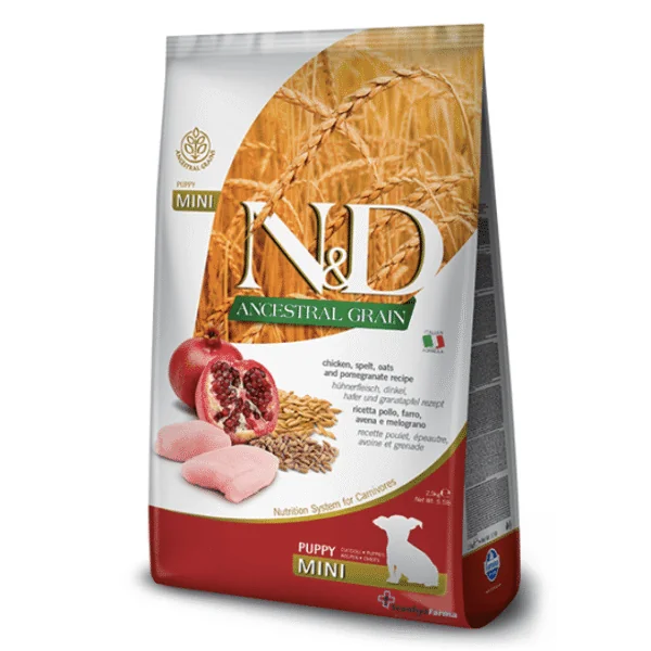 ND PUPPY mini Ancestral Pollo Granada cachorros
