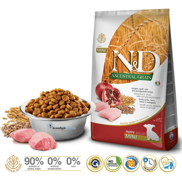 ND PUPPY mini Ancestral Pollo Granada cachorros