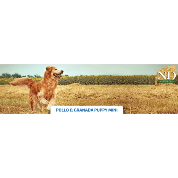 ND PUPPY mini Ancestral Pollo Granada cachorros