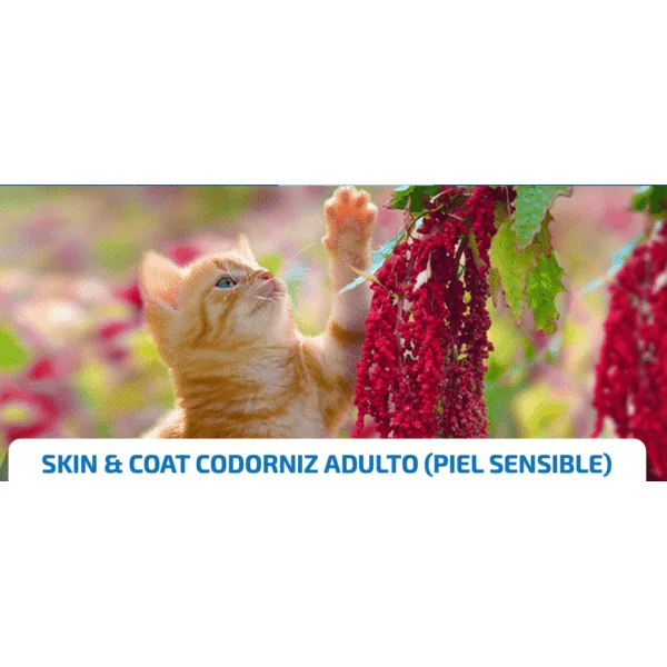 ND Quinoa cat Codorniz Skin coat gatos