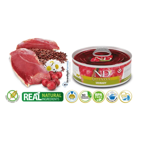 ND Quinoa URINARY lata gatos 24x80 g