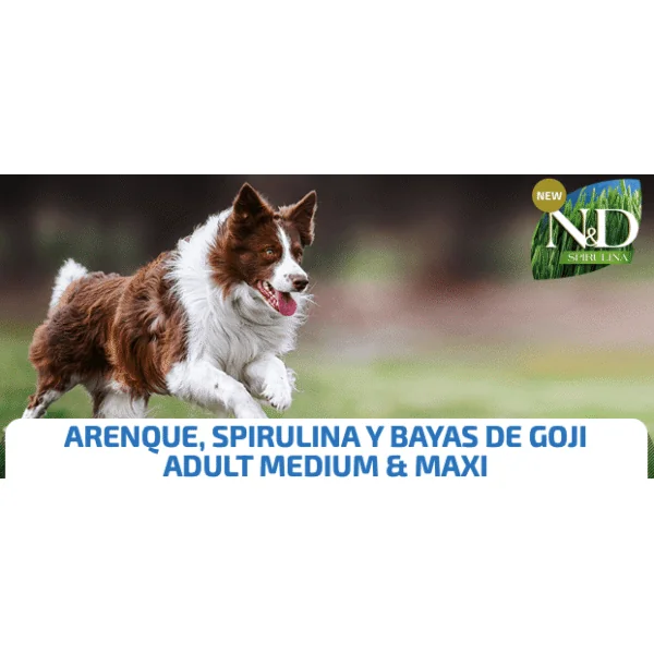 ND Spirulina Dog med-maxi Arenque perros adultos