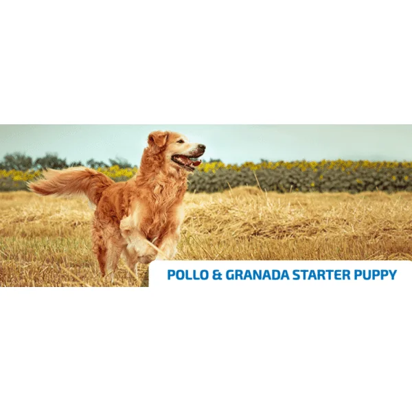 ND Starter PUPPY Ancestral Pollo Granada cachorros 800 g