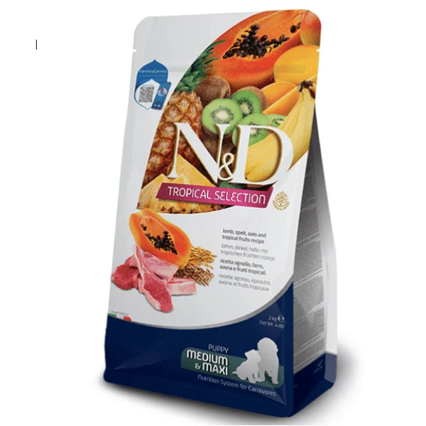 ND Tropical Puppy Medium Maxi CORDERO cachorros