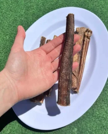 Nervio de Búfalo 15 cm para Perros – Snack Natural