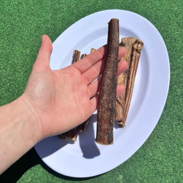 Nervio de Búfalo 15 cm para Perros – Snack Natural