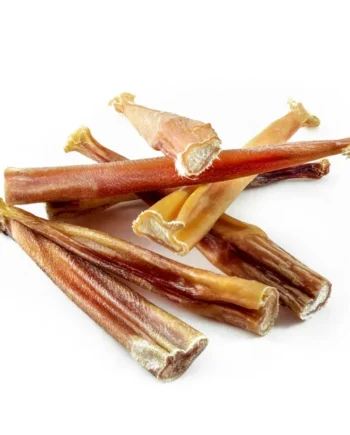 Nervio de Toro