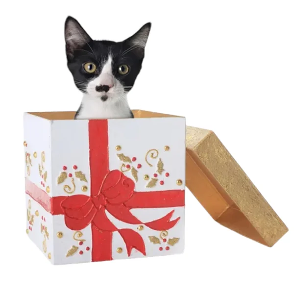 New Mascota Caja Regalo para Gatos — Productos Premium Seleccionados