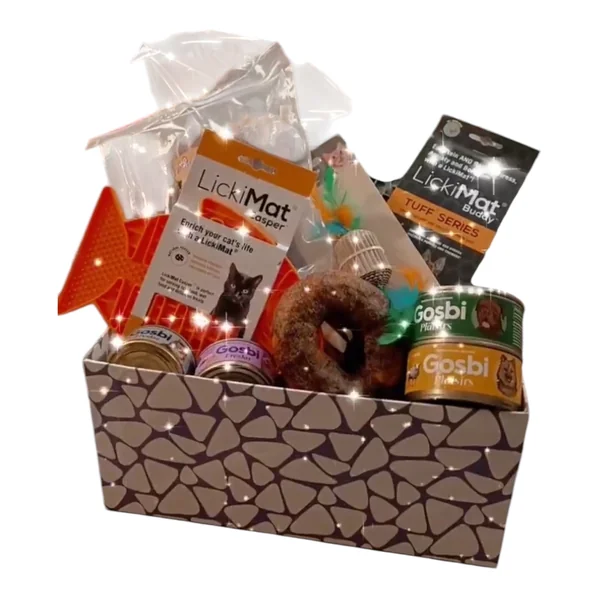 New Mascota Caja Regalo para Gatos — Productos Premium Seleccionados