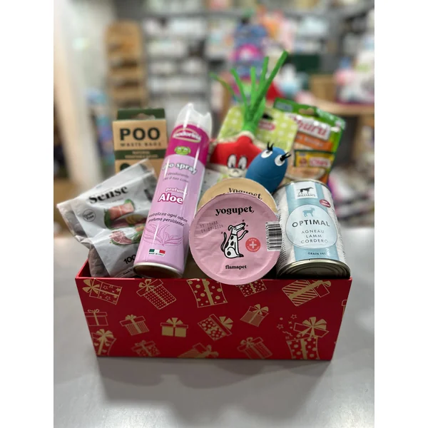 New Mascota Caja Regalo para Perros — Productos Premium Seleccionados