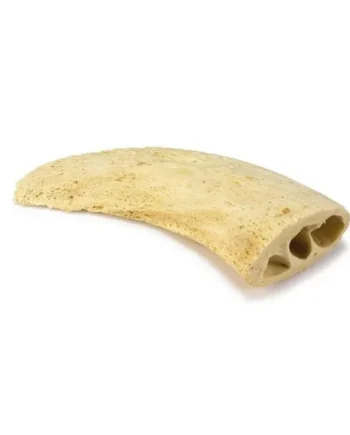 Núcleo de cuerno de búfalo