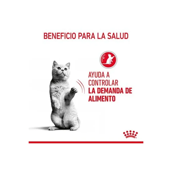 Obtén una durabilidad incomparable a los precios más bajos con Royal Canin Appetite Control Care En Gelatina de Productos Para Gatos Málaga España.