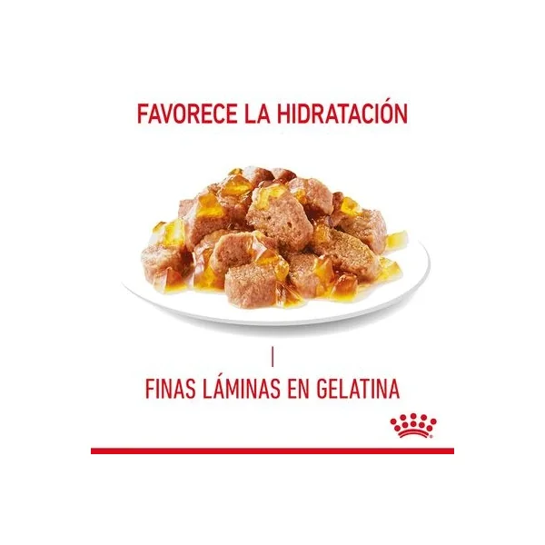 Obtén una durabilidad incomparable a los precios más bajos con Royal Canin Appetite Control Care En Gelatina de Productos Para Gatos Málaga España.
