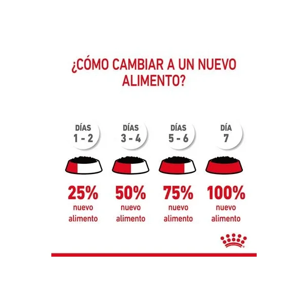Obtén una durabilidad incomparable a los precios más bajos con Royal Canin Appetite Control Care En Gelatina de Productos Para Gatos Málaga España.
