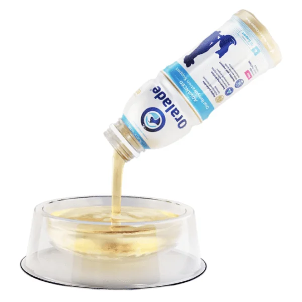 Oralade Advanced GI+ Rehidratación y nutrición microenteral perros gatos