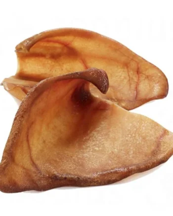 Oreja de cerdo