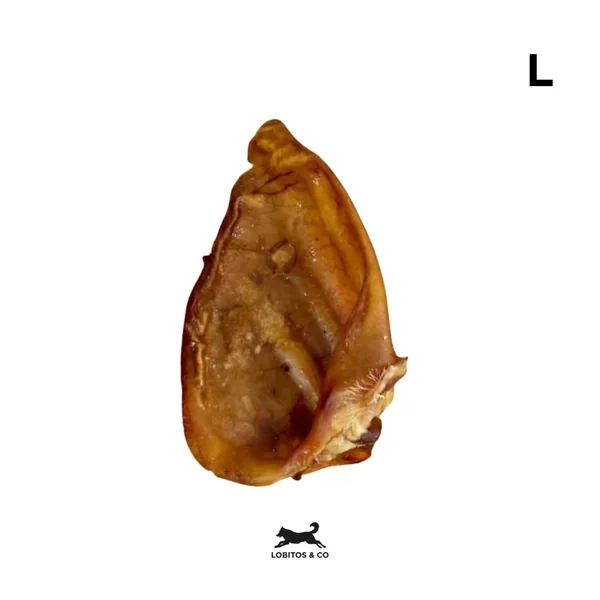 Oreja de Cerdo