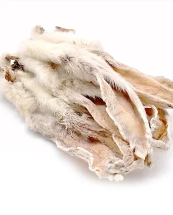 Oreja de Conejo con Pelo