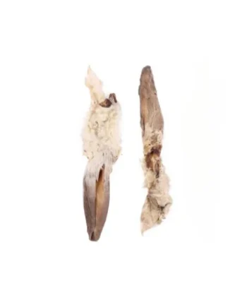 Oreja de Conejo con Pelo unidad Mordedor natural para perros