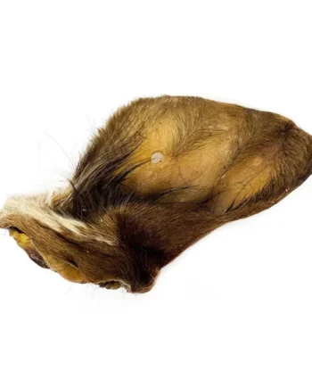 Oreja de Vacuno con Pelo