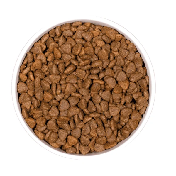 Ownat GF prime kitten gatitos 3 kg