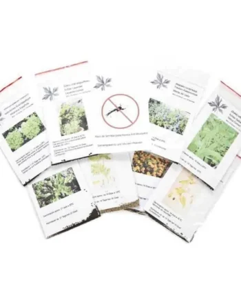 Pack de Semillas Repelente de Mosquitos