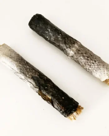 Palito de tripa con piel de salmón