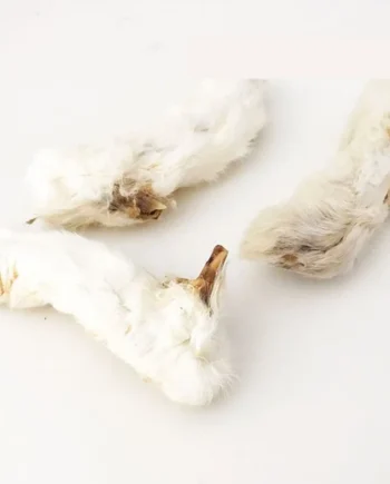 Patas de conejo con pelo