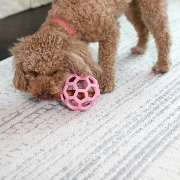 Pelota Hol-ee JW Pastel Edition