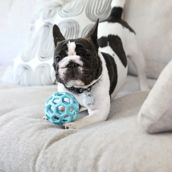 Pelota Hol-ee JW Pastel Edition