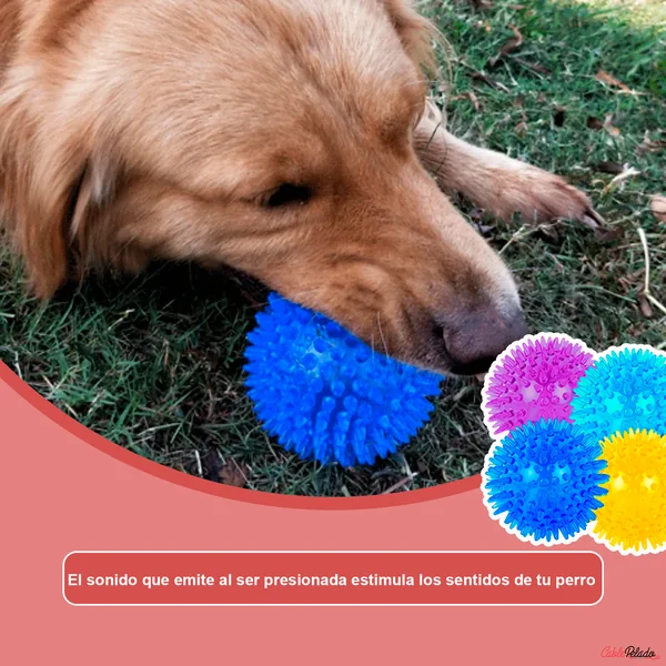 Pelota para Perros Erizo Con Sonido 6 cm Morado