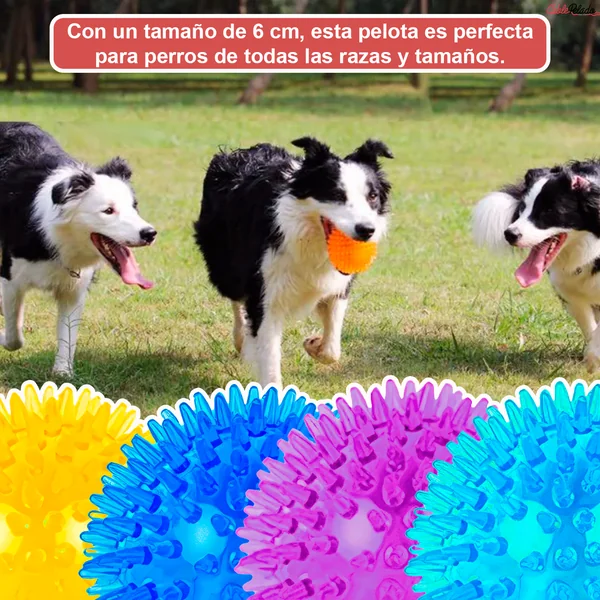 Pelota para Perros Erizo Con Sonido 6 cm Morado