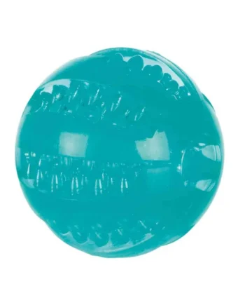 Pelota Termoplástico Menta Denta Fun Perro