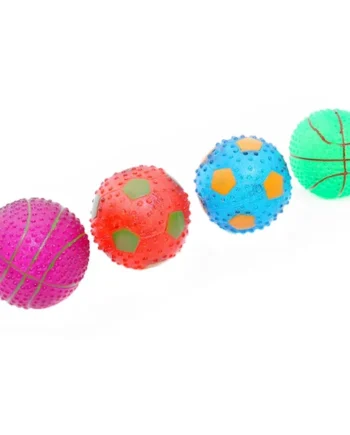Pelotas Transparente con Sonido