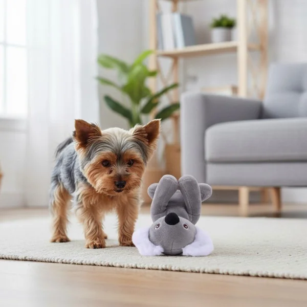 Peluche Koala