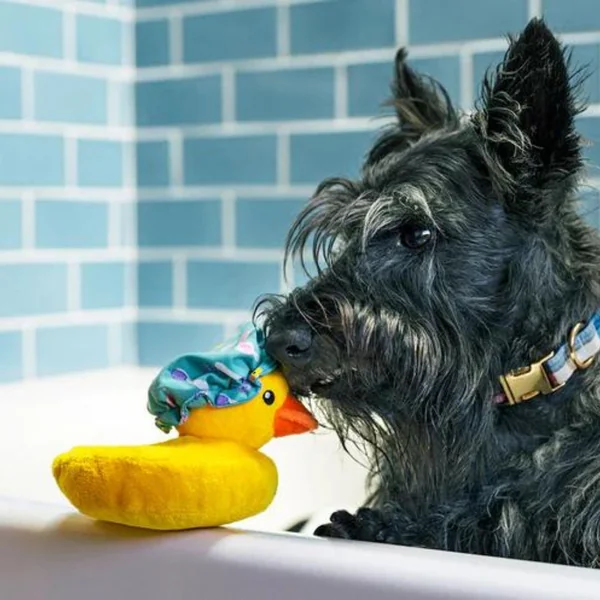 Peluche patito de ducha PLAY