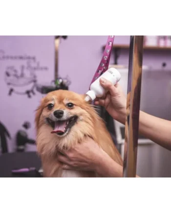 Peluquería canina