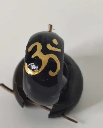 Pendientes de Coco Ohm