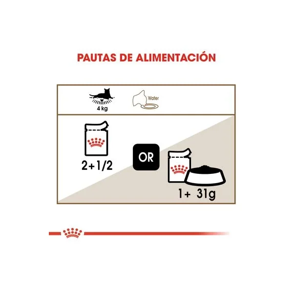 Personaliza tu estilo con Royal Canin Ageing +12 En Salsa exclusivos en línea para cualquier evento.