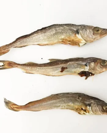 Pescadilla