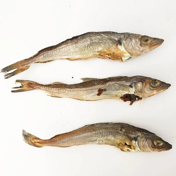 Pescadilla