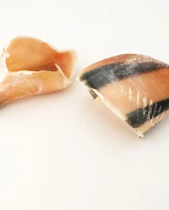 Pezuña bovina