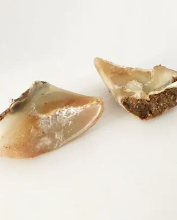 Pezuña bovina rellena de paté de ternera