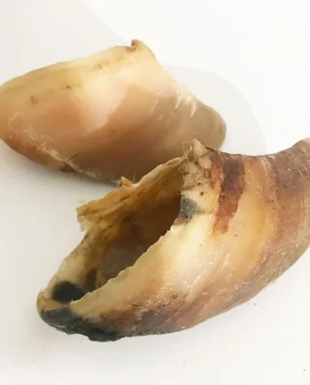 Pezuña bovina XL