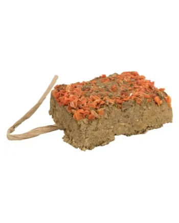 Piedra de arcilla con zanahoria - Pack de 10 unidades