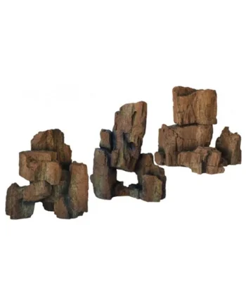 Piedras FOSSIL