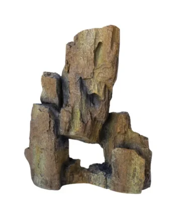 Piedras FOSSIL